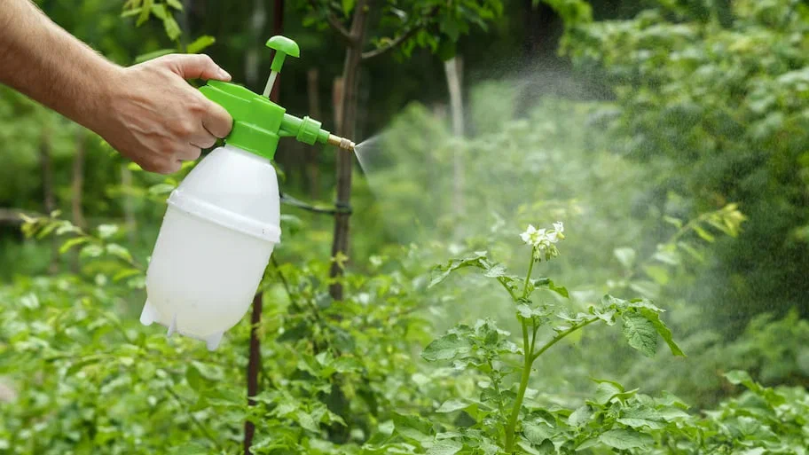 Посев газона